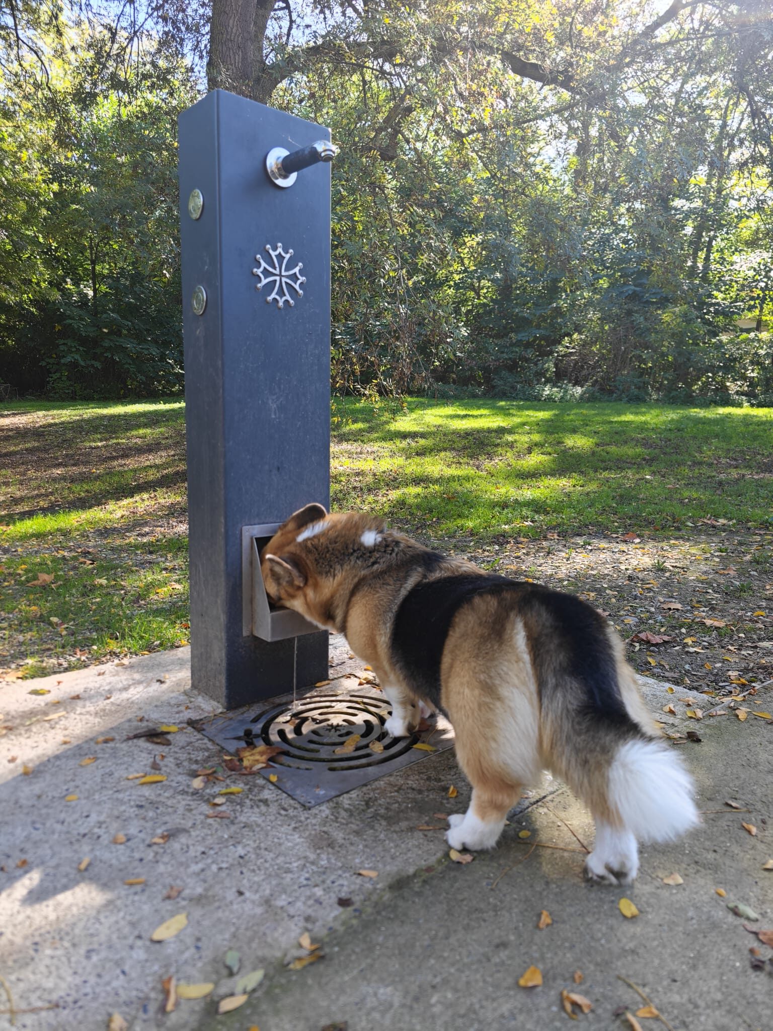 fontaine à eau